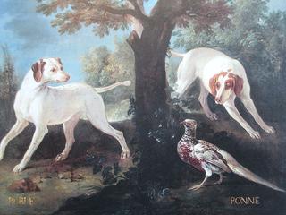 珀尔和波恩，路易十五的狗