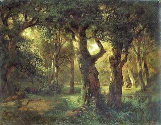 Waldinneres (Interior of a Forest)