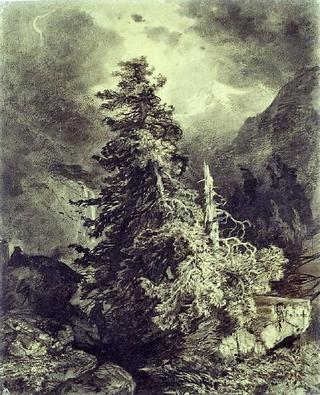 Wettertanne im Hochgebirge (Spruce Tree in the Alps)