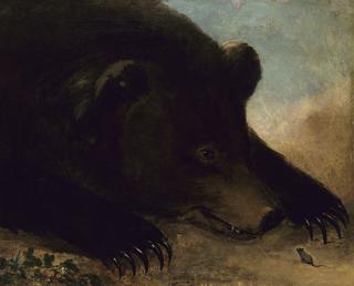 真人大小的灰熊和老鼠的肖像