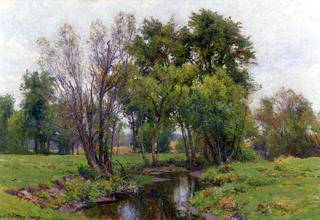 A Meadow Stream