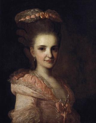 Portrait of a Lady in Pink Dress
