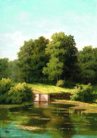 An Overgrown Pond