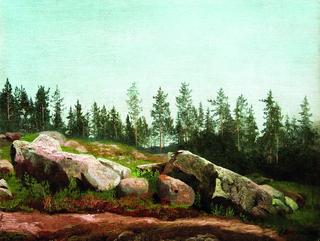 Forest Landscape with Rocks