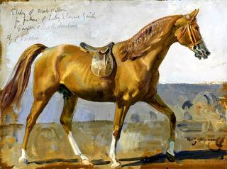 Lady Eleanor Smith's Arab Stallion (study)