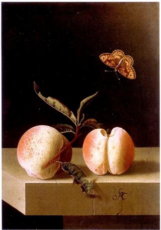 Two Peaches and a Fitillary Butterfly on a Stone Plinth
