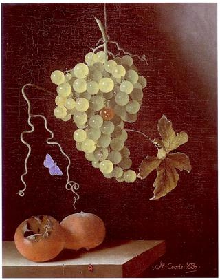 Still life with Hanging Bunch of Grapes, Two Medlars and a Butterfly