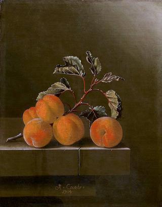 Still Life with Five Apricots