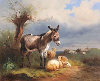 Scene of Sheep with Donkey