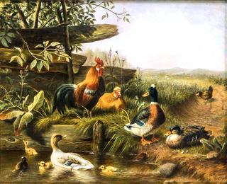 Chicken and Ducks Gathered at a Pond