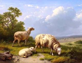 Three Sheep in a Pasture