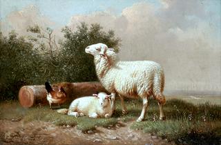 A Pastoral Scene with Sheep and a Chicken