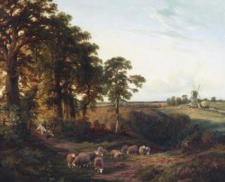 The Weald of Surrey
