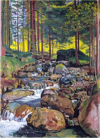 Forest with a mountain stream
