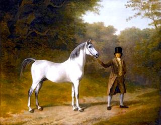 The Wellesley Arabian, Held by a Groom in a Landscape