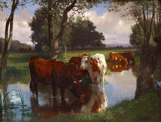 Cattle Watering in a Stream