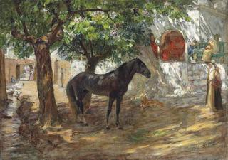 An Arabian Horse in a Sunlit Street