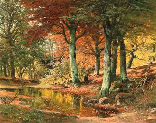 Woodland Landscape in Autumn