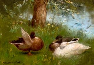 Three Ducks at the Waterside