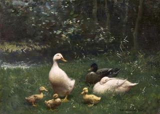 Ducks near a Stream