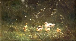 Ducks in the Grass with Chicks