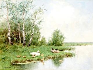 Ducks and Duckling on a Riverbank