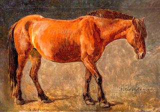 The Horse Nilse-Bruno