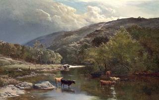 Cattle Watering in the River Lyn, North Devon