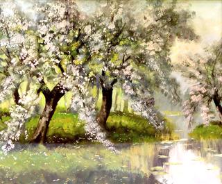 Flowering Trees by a River