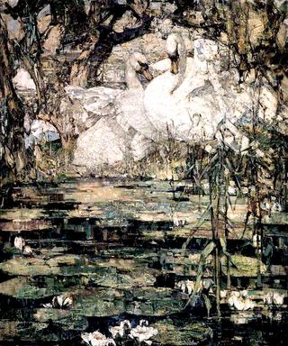 Swans and Waterlilies