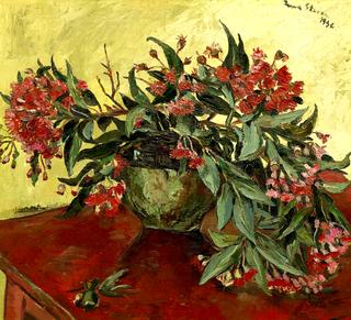 Still Life with Red Flowering Gum