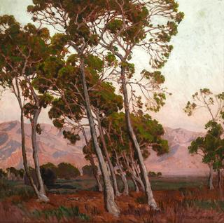 Trees along the Foothills