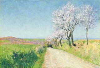 Path with Flowering Almond Trees
