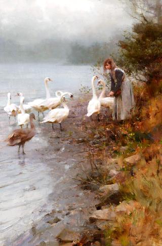 Nancy and the Swans