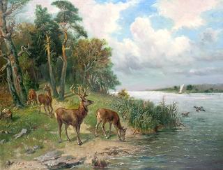 Stag and Deer by a River