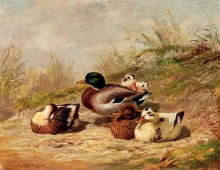 Ducks in a Landscape