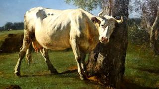 Vache qui se gratte (Cow Scratching)
