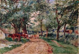 Cows under Trees by a Path
