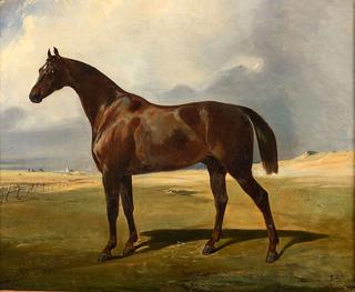 Bay Horse Turned to the Left