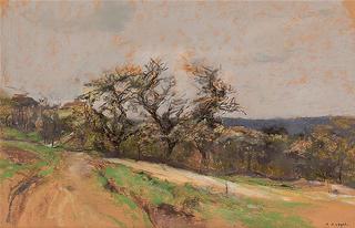 Landscape with road and a orchard blooming