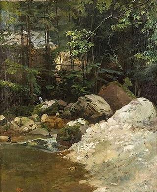 A stream and woods at Saint Pierre d'Entremont