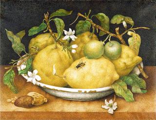Still Life with a Bowl of Citrons
