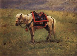 A Himalayan Pony