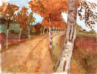 Avenue of Birch Trees in Autumn