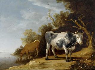 Cattle Standing on a Riverbank