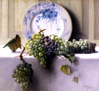 Still LIfe with Grapes