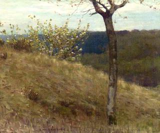 A landscape with blossom