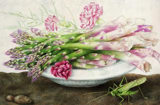 Plate of Asparagus with Carnations and a Grasshopper