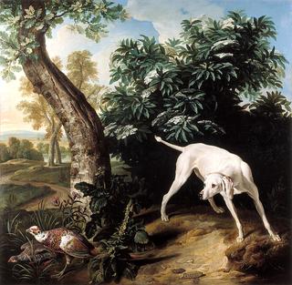 White Dog in Front of an Elder Bush