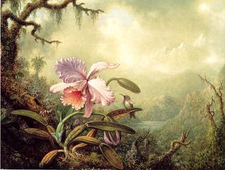Heliodore's Woodstar and a Pink Orchid